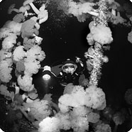 artificial reef picture